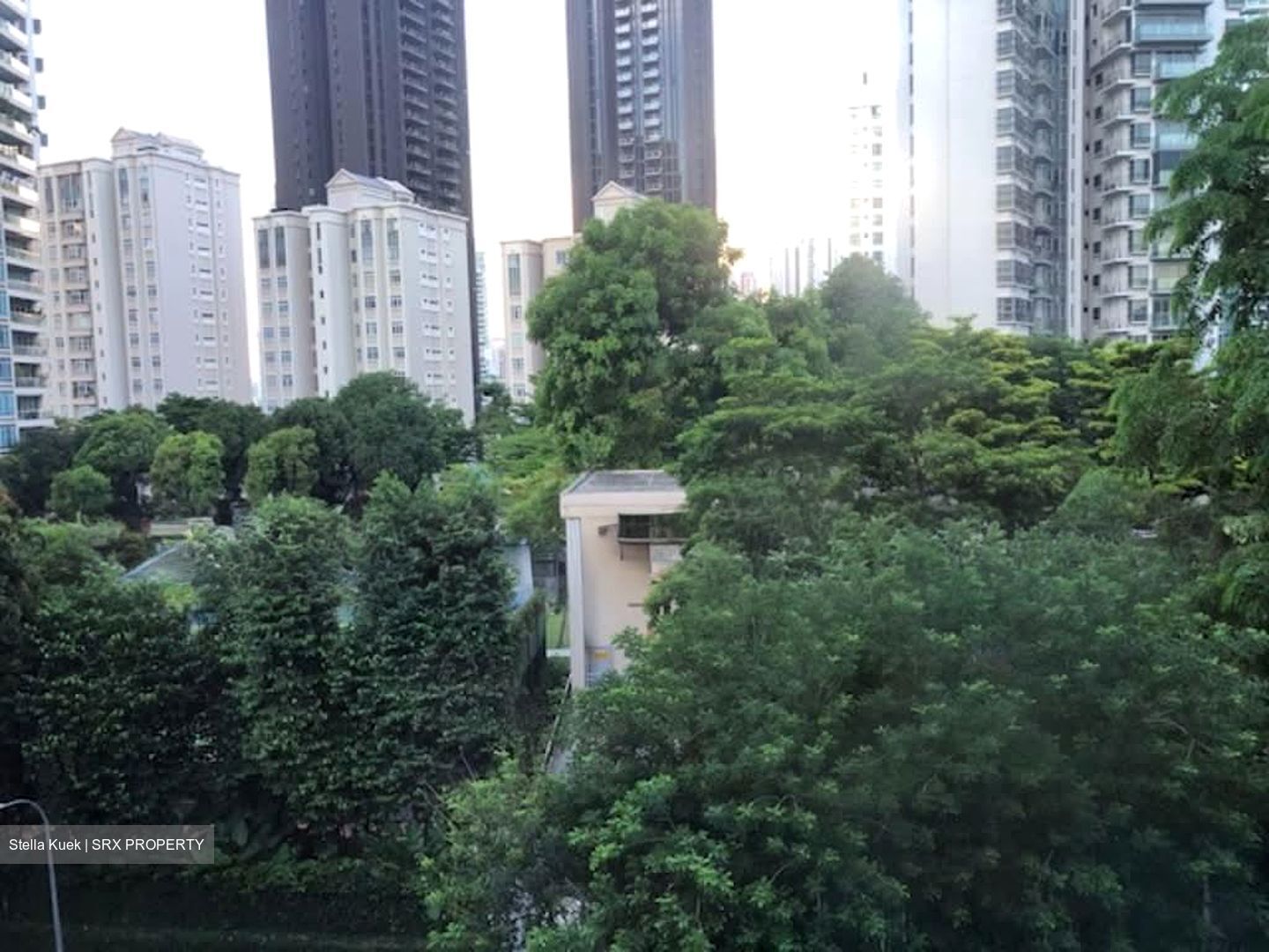 Langston Ville (D9), Apartment #550867541